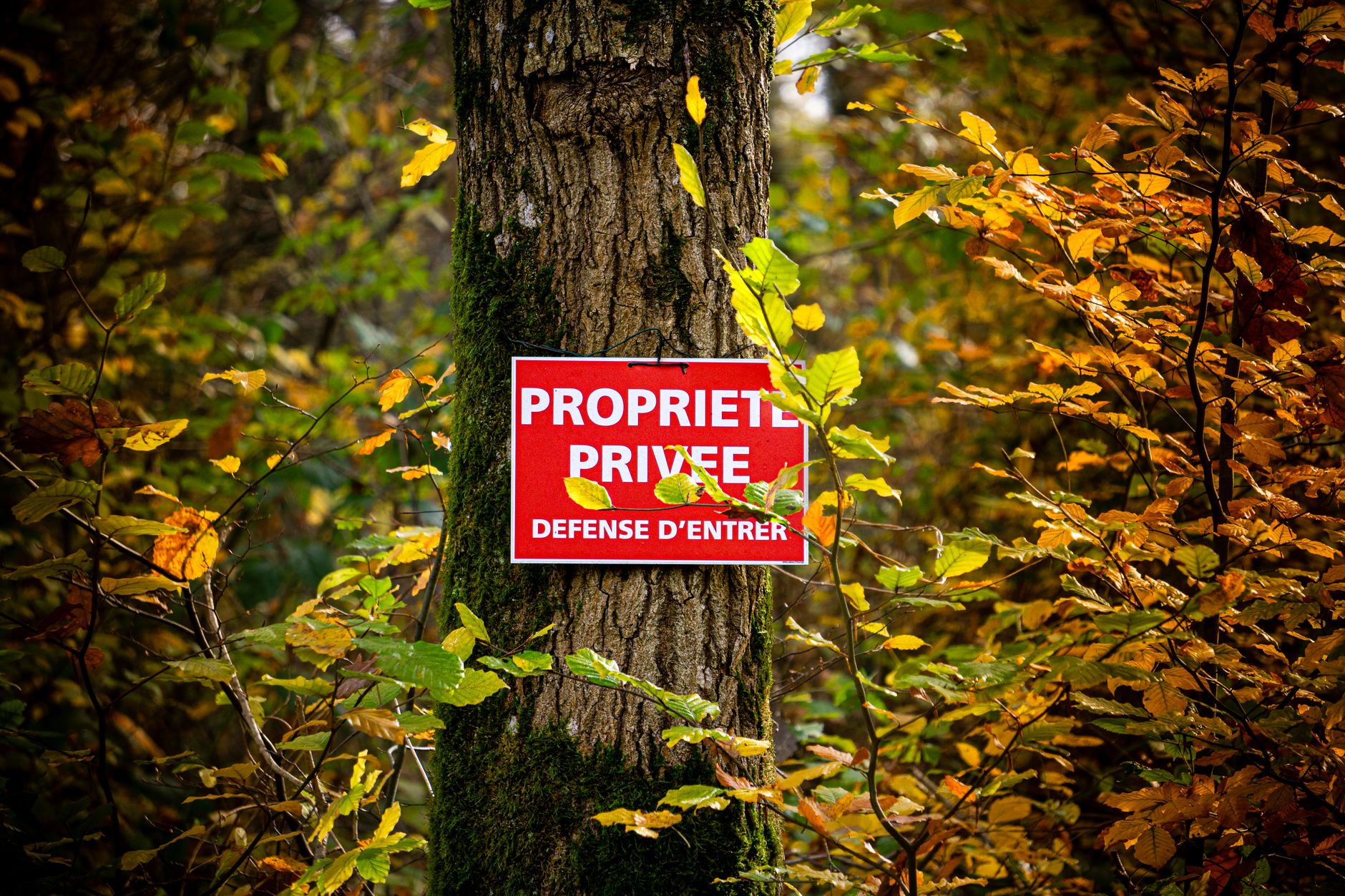 Détective privé à Saint-Étienne